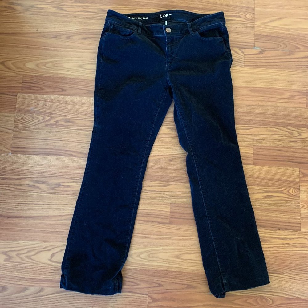 ann taylor loft pants